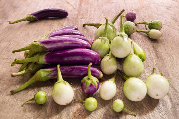 Brinjal Green / Purple (R)